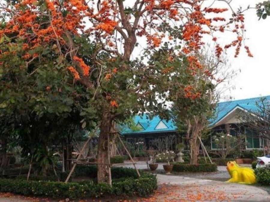 พันธ์พิศา รีสอร์ท