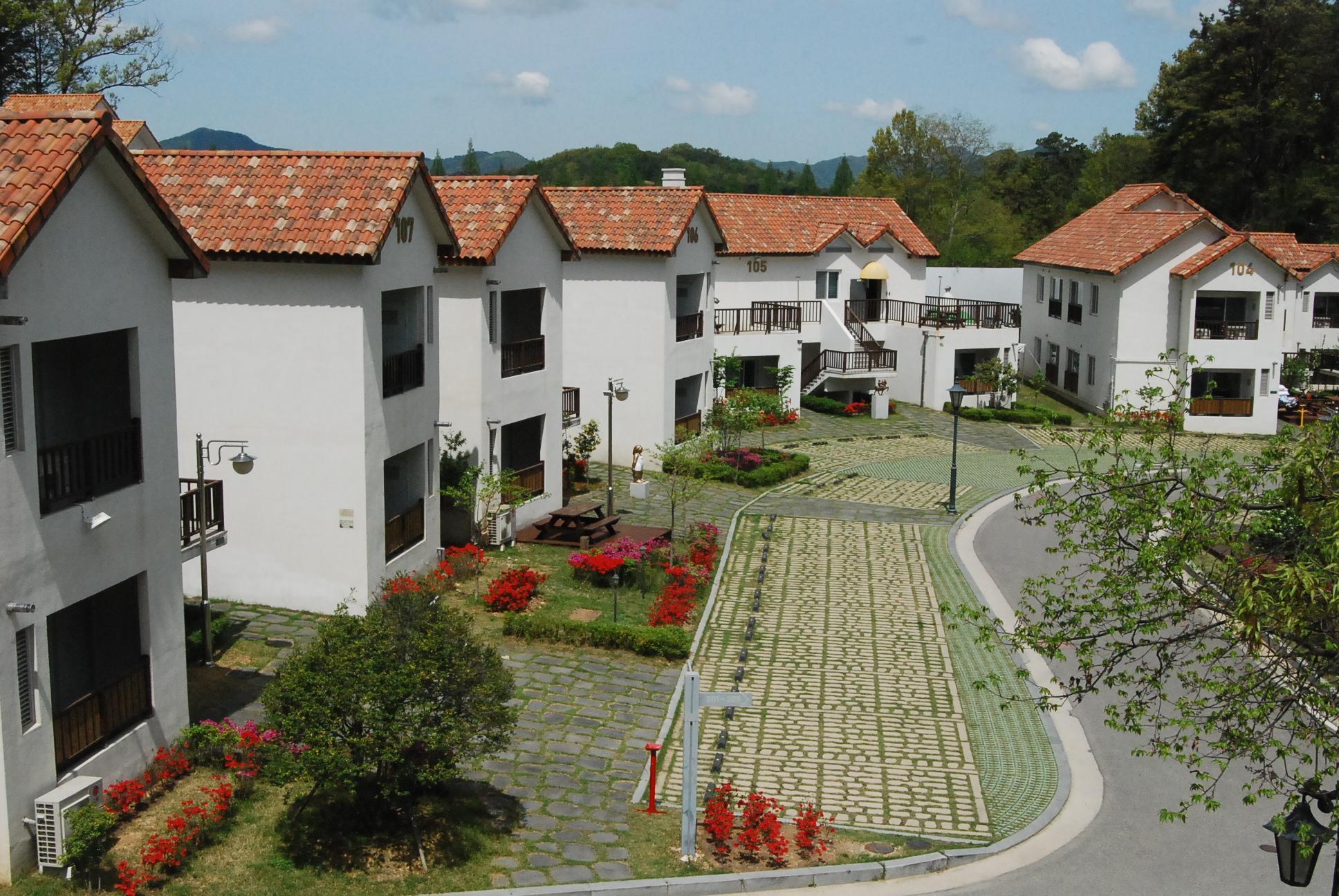 ทัมยัง เมตา เพนชั่น ทัมยัง เมตา เพนชั่น