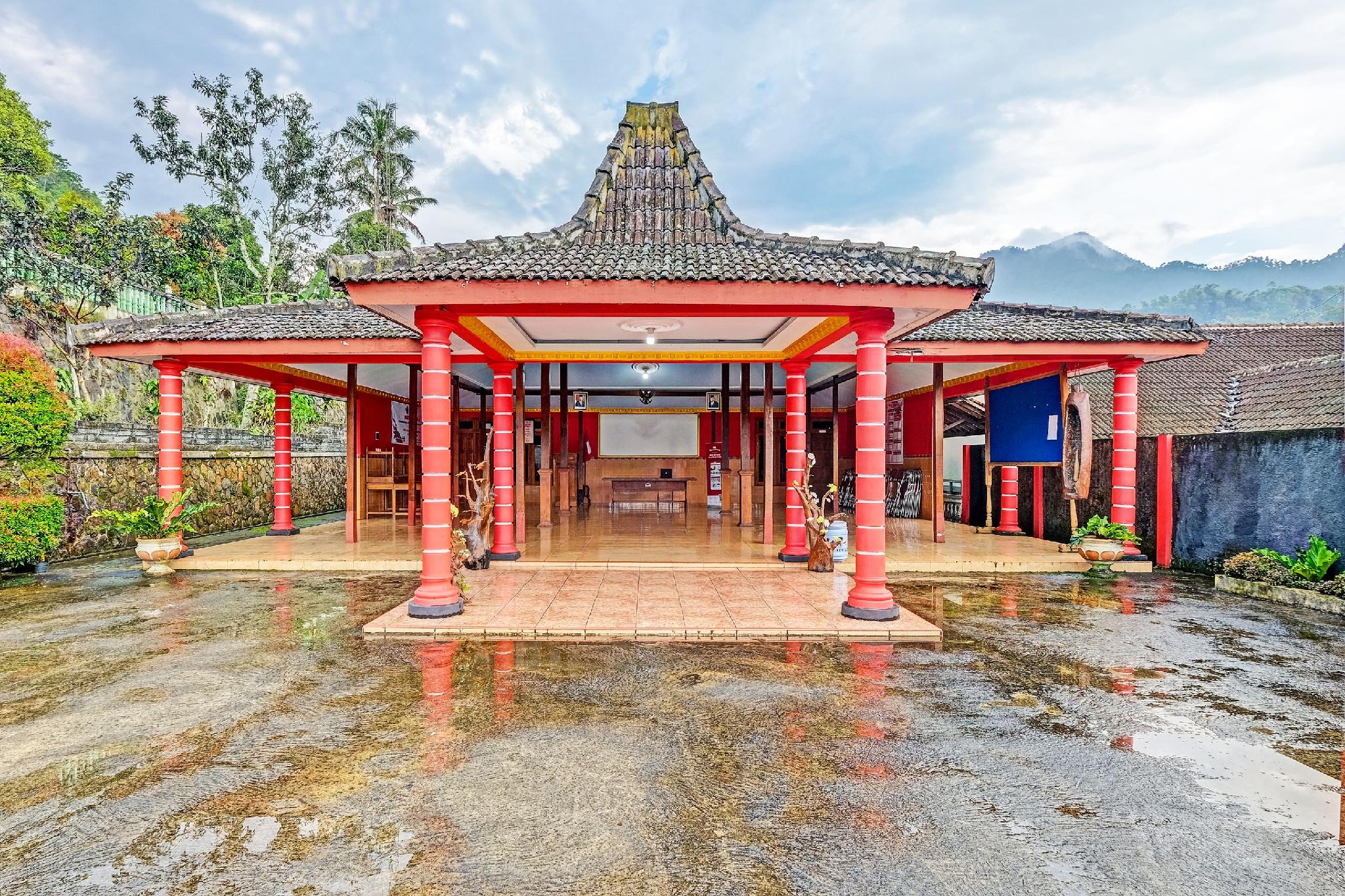 สปอต ออน 91095 เดสา วีซาตา คอนโต