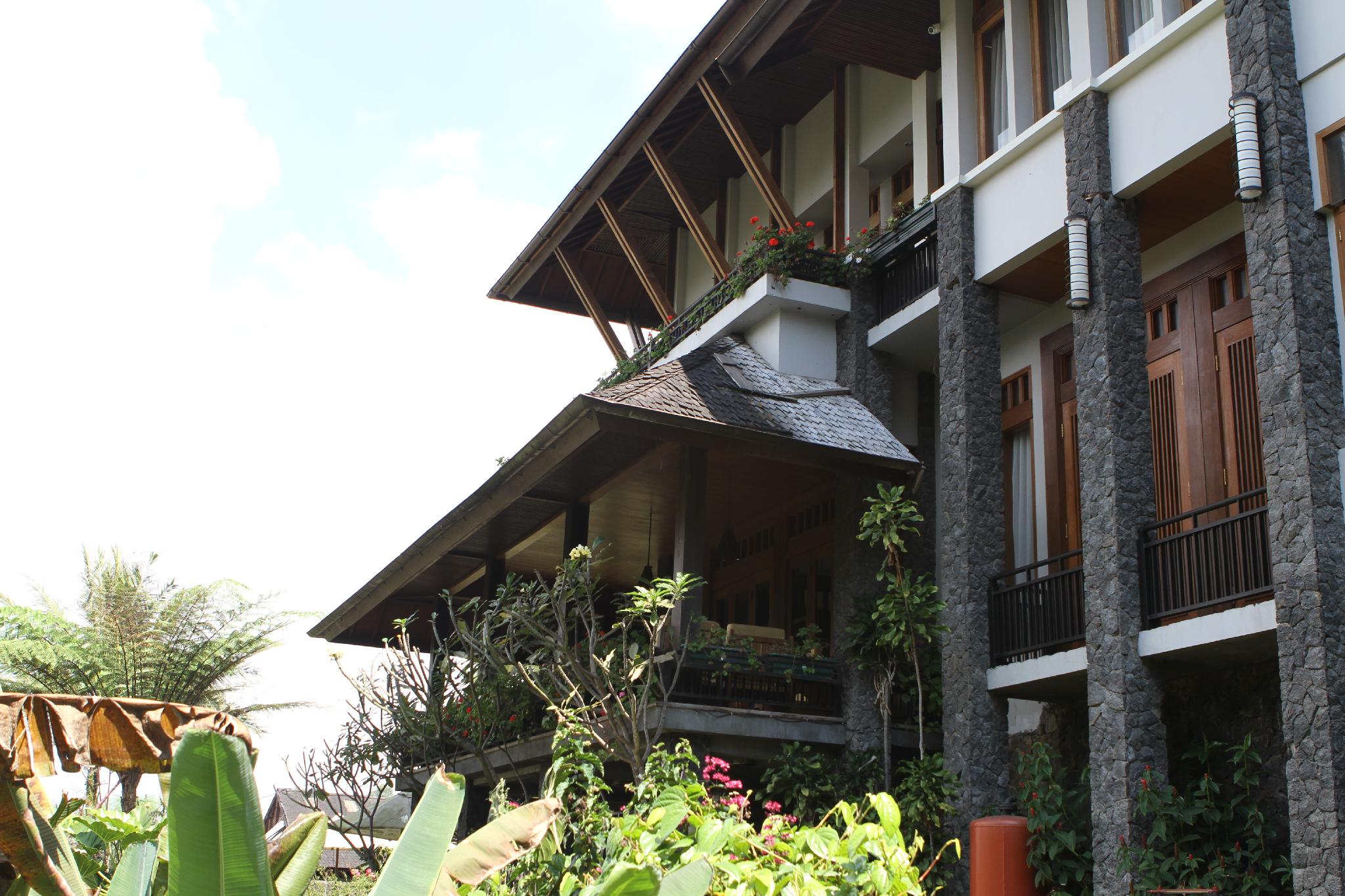Rumah Stroberi Organic Farm & Family Lodge