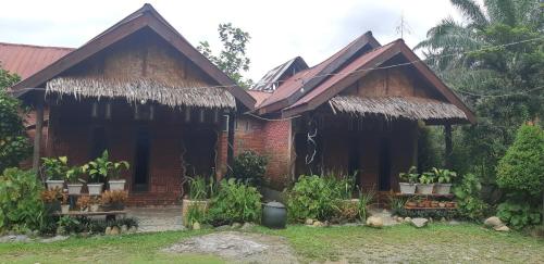 Mountain View Cottages & Restaurant
