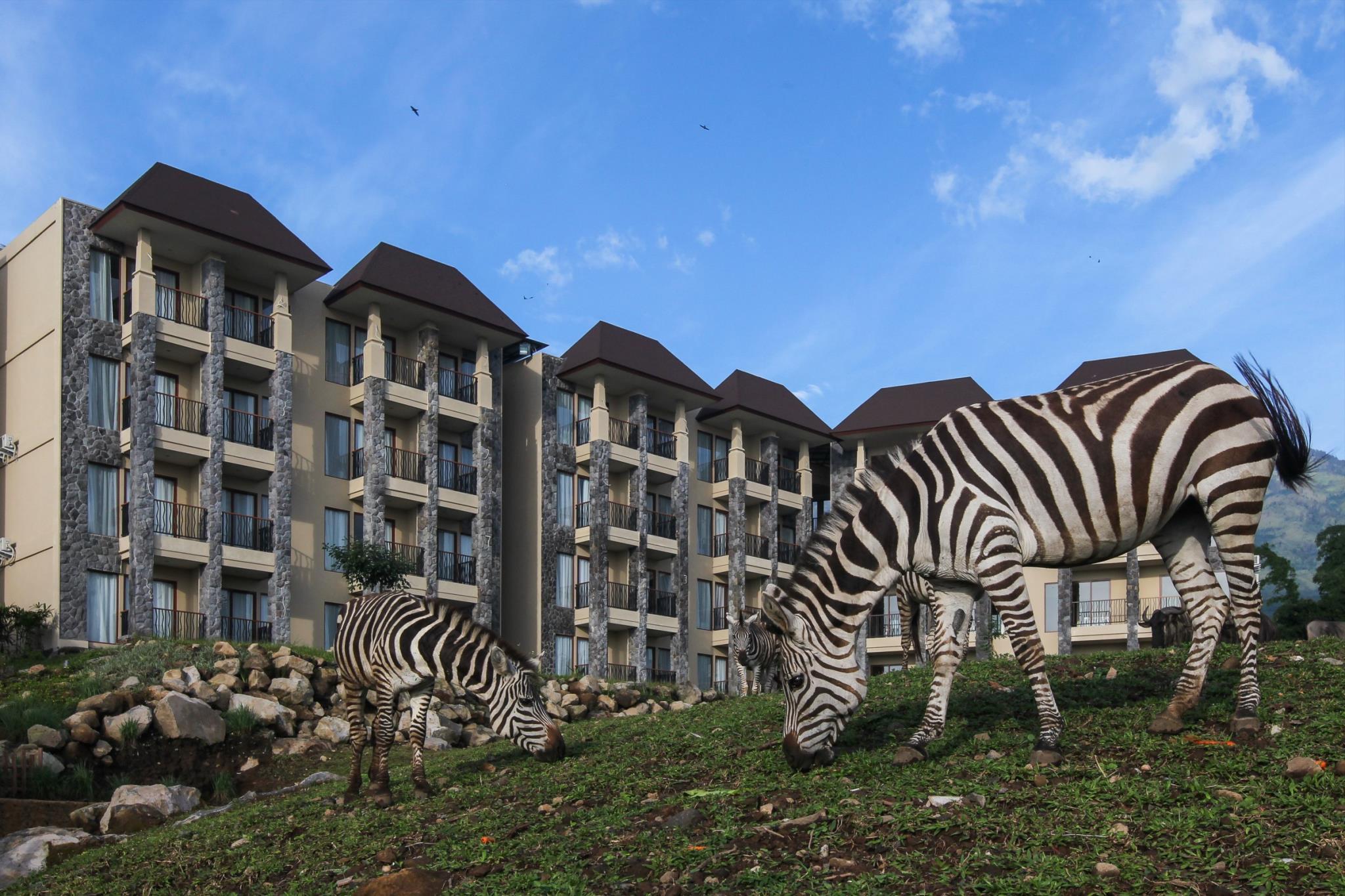 เบาบับ ซาฟารี รีสอร์ต