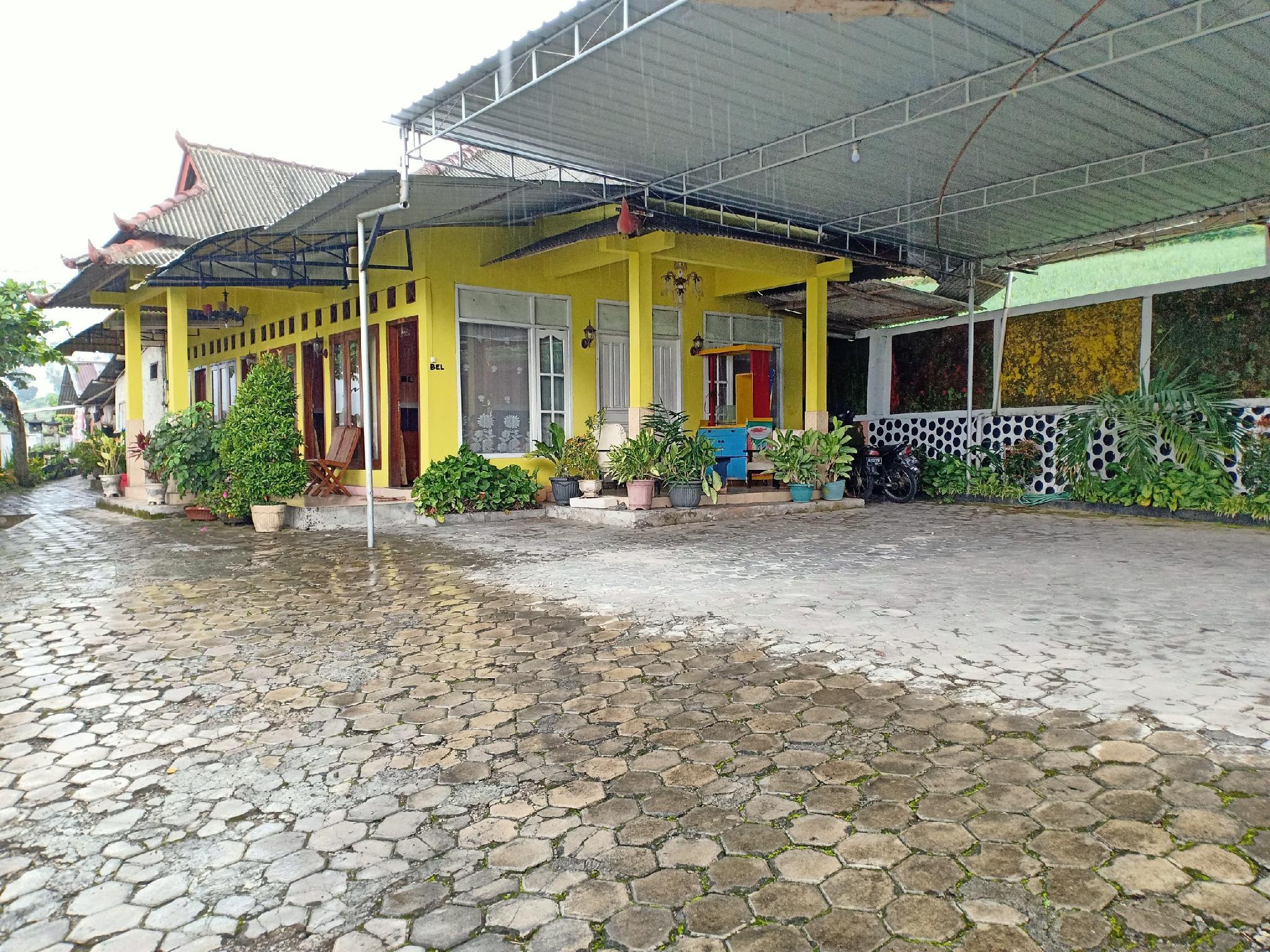 โอโย 3020 เปงีนาปัน จิตรา ราซา