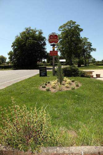 เดอะ เรด ไลอ้อน เดอะ เรด ไลอ้อน