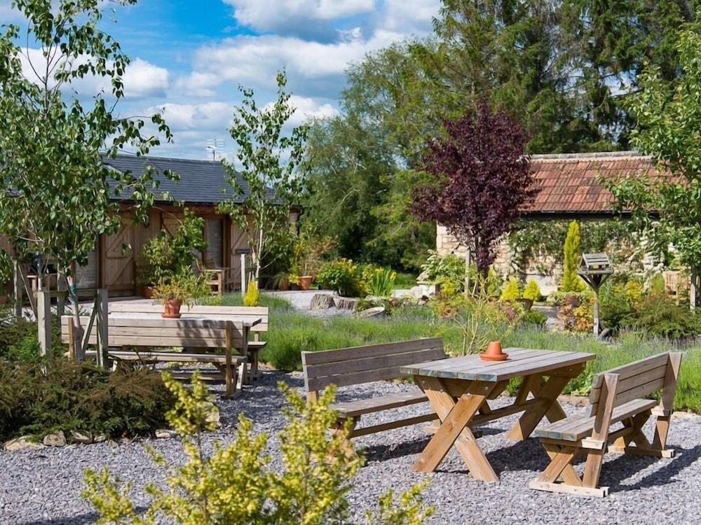 วิดบรูค บาร์นส์