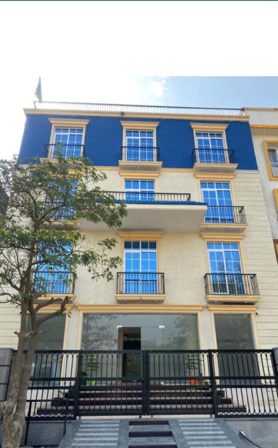 บลูวิสต้า บลูวิสต้า