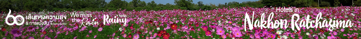 60 เส้นทางความสุข Hello Rainy นครราชสีมา