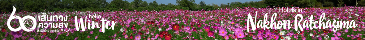 60 เส้นทางความสุข Hello Winter 