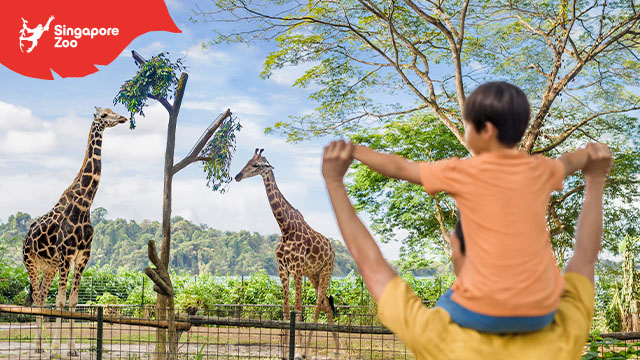บัตรเข้าสวนสัตว์สิงคโปร์ Mandai Wildlife Reserve สิงคโปร์