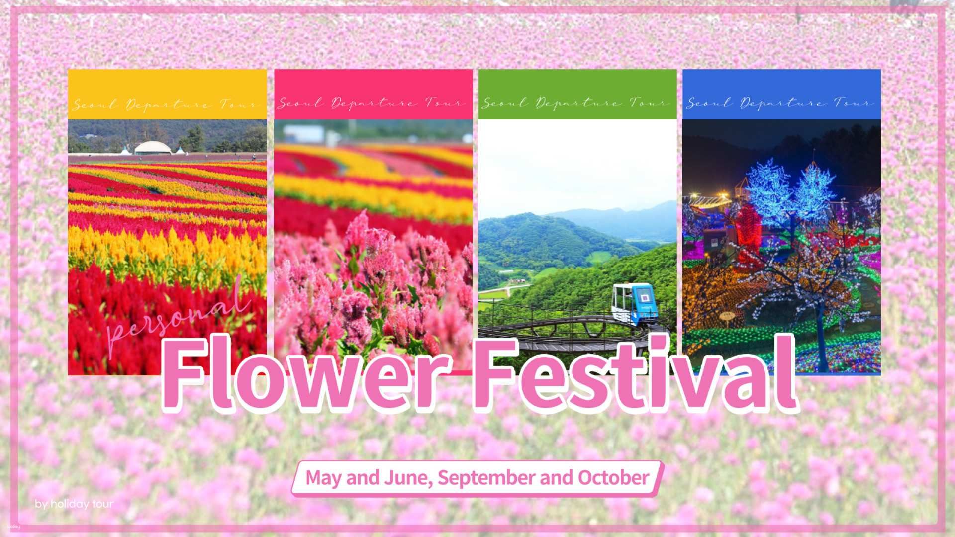 Suburbs of Seoul|Goseokjeong Flower Field & Pocheon Herb Land Night View/Cheorwon History and Culture Park & Soi Mountain - Monorail Day Tour
