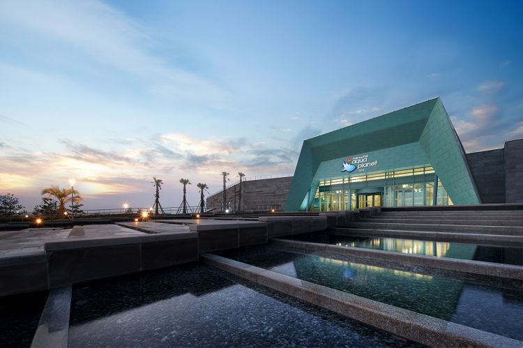 [Jeju] Hanhwa Aqua Planet Ticket
