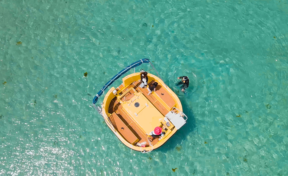 [Jeju] Penguin Semi-submarine boat water experience