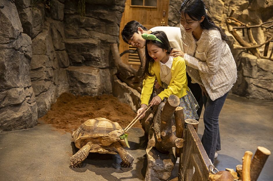 [Seoul] Times Square Indoor Zoo - ZoolungZoolung Ticket