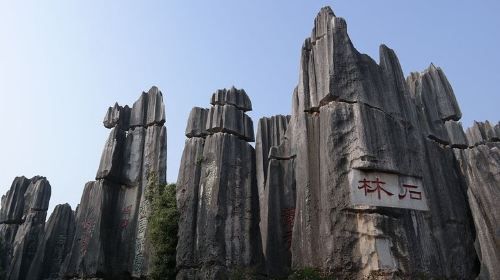 1 Day Stone Forest and Jiuxiang Cave with Roast Duck - Charge by Vehicle