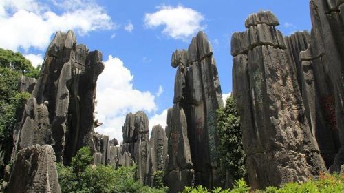 1-Day Private Tour:Stone Forest and Western Hill(Dragon Gate) from Kunming