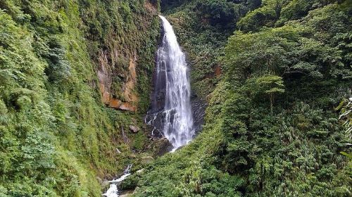1D Tour to Cingjing Farm from Taichung