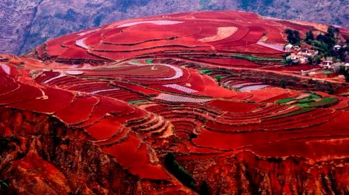 2-Day Kunming to Dongchuan Red Lan Private Tour: Green Lake (Cui Hu), Dongchuan Red Land