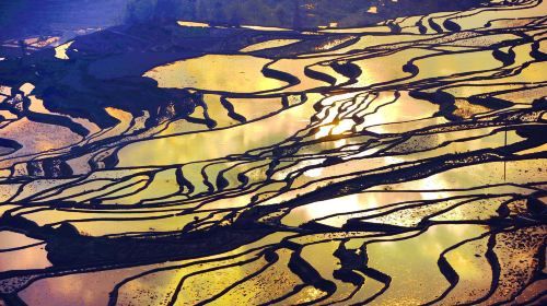 2-Day Private Tour to Yuanyang Hani Rice Terraces and Jianshui from Kunming