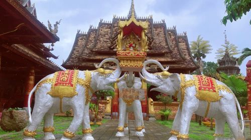 2-Day Xishuangbanna Private Tour: Sipsongpanna Botanical Garden, Chinese Academy of Sciences, Ganlanba Market, Dai Papermaking Technology, Morning Menghai bazaar, Nannuoshan Mountain