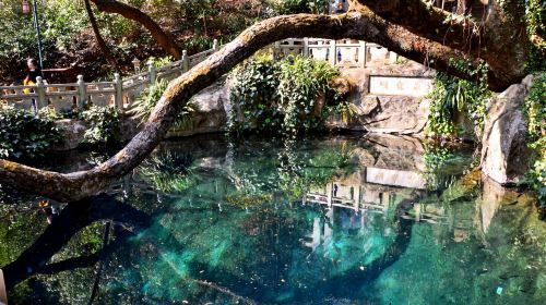 3-Day Lijiang to Dali Private Tour: Jade Dragon Snow Mountain, Erhai lake, Three Pagodas of Chongsheng Temple
