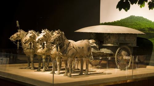 4-Day Xi'an Private Tour including Terra-Cotta Warriors, City Wall and Big Wild Goose Pagoda