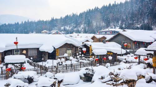 ทัวร์ส่วนตัว 5 วันในเมืองฮาร์บิน รวมถึง Ice and Snow World และ China Snow Town