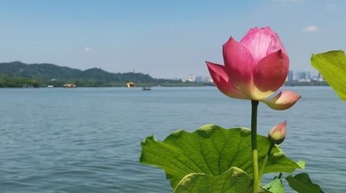 All Inclusive Tour of Lingyin Temple and Pagoda of Six Harmonies