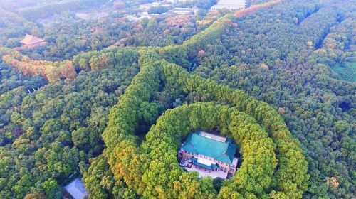 ทัวร์ส่วนตัวหนึ่งวันชมทัศนียภาพภูเขาสีม่วงหนานจิงแบบรวมทุกอย่าง