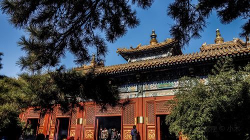 Beijing Hutong Food and Beer Tour by Tuk-tuk