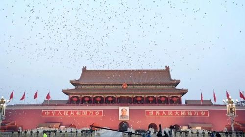 Beijing Private Tour with Forbidden City, Beihai Park, Jingshan & Acrobatic Show
