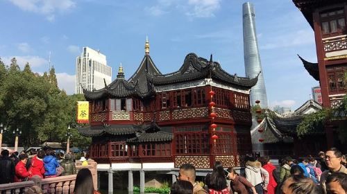 Flexible Hours of Private Shanghai Layover or Transfer Tour