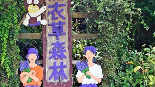 ทัวร์ส่วนตัวเต็มวันในไถจงและกระท่อมลาเวนเดอร์พร้อมอาหารกลางวัน
