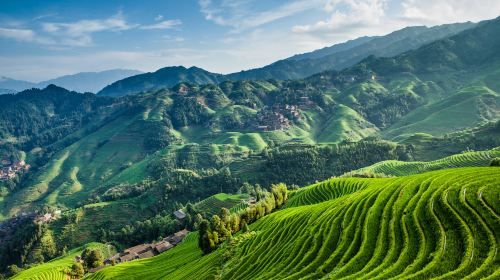 ทัวร์ส่วนตัว: นาข้าวขั้นบันไดหลงจี่และหมู่บ้านลองแฮร์