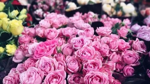 Half Day Private Tour of Kunming Flower Market and Flower Pastry Cooking Class