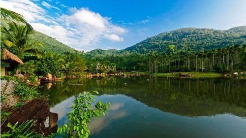 ทัวร์ครึ่งวันอุทยานป่าฝนยาโนดา