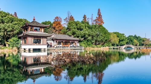 ทัวร์ส่วนตัวหนึ่งวันในเมืองหางโจวไปยังยอดเขา Feilai วัด Lingyin หมู่บ้านชา Meijiawu ทะเลสาบตะวันตก และพิพิธภัณฑ์ผ้าไหมแห่งชาติจีน