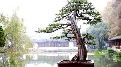 ทัวร์เมืองหางโจวกับอาลีบาบาจากเซี่ยงไฮ้โดยรถไฟหัวกระสุน