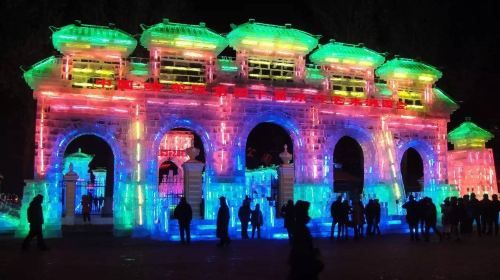 ทัวร์ฮาร์บินยามค่ำคืนแบบส่วนตัวชมการแสดงโคมไฟน้ำแข็งที่สวนจ้าวหลิน