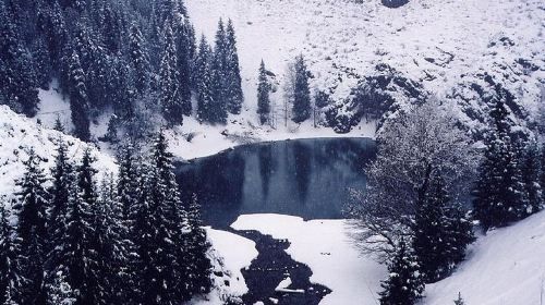 Heaven Lake Day Tour from Urumqi