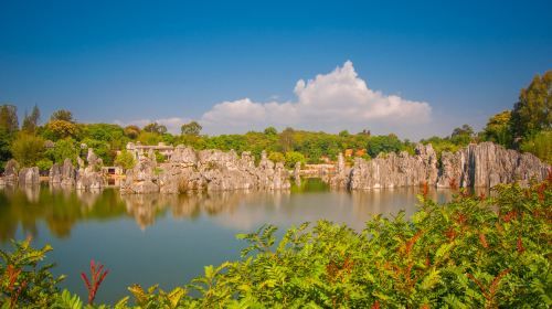 Kunming English speaking Tour Guide
