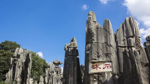 One Day Tour from Kunming to Stone Forest with Tasting Crossing Bridge Noodles