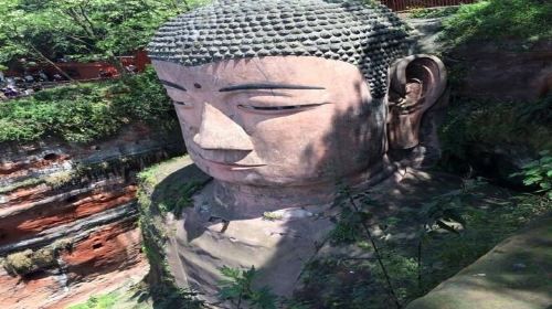 ทัวร์ศูนย์แพนด้าและพระใหญ่เล่อซานหนึ่งวัน (เดินทางจากเฉิงตู)
