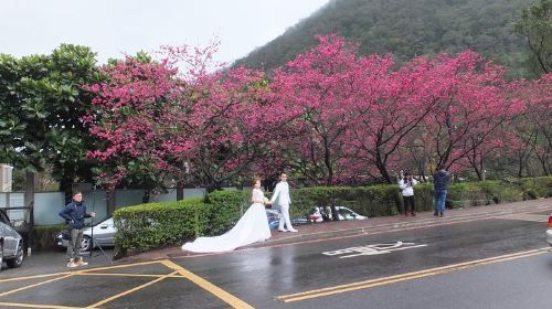 แพ็คเกจทัวร์อุทยานแห่งชาติ Yangmingshan Beitou Hot Spring Park และ Tamsui หนึ่งวัน