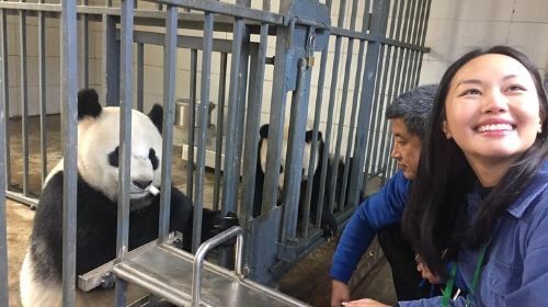 ประสบการณ์การเป็นผู้ดูแลหมีแพนด้าที่ Wolong Panda Center