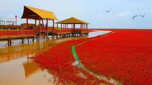 ทัวร์ส่วนตัวแบบรวมทุกอย่างไปยังหาดสีแดงในเมือง Panjin จาก Shenyang