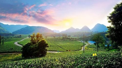 PRI Day Tour to Jiqingli Tea Plantation, Xianqiao Underground River fr Guangzhou