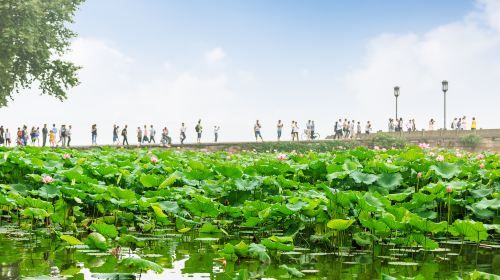 ทัวร์ส่วนตัวครึ่งวัน เที่ยวชมเมืองหางโจวแบบเจาะลึก