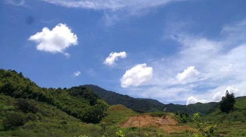 Private Hiking Day Tour around Xitou Village from Guangzhou