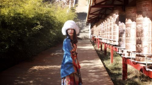 Private Lijiang Day Tour: Tiger Leaping Gorge, First Bend of Yangtze River, Zhiyun Si