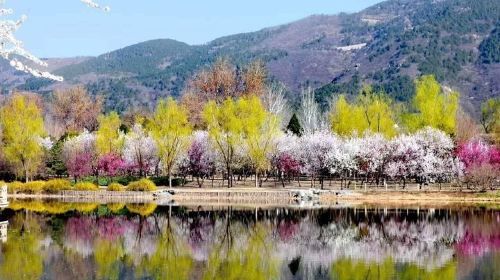 บริการรถรับ-ส่งส่วนตัว ไป-กลับ สู่ภูเขาเสียนซาน และสวนพฤกษศาสตร์